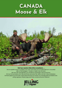 Canada - Moose & Elk