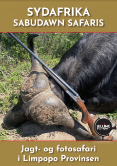 Sydafrika - Sabudawn Safaris
